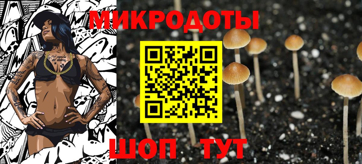 Галлюциногенные грибы прущие грибы  Вход с VPN  Тамбов  Псилоцибиновые грибы мицелий 